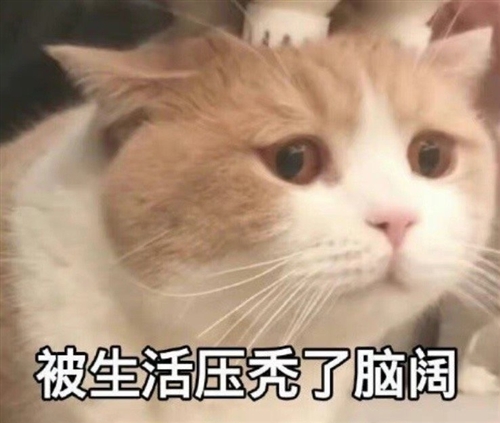 熬夜掉头发的搞笑说说
