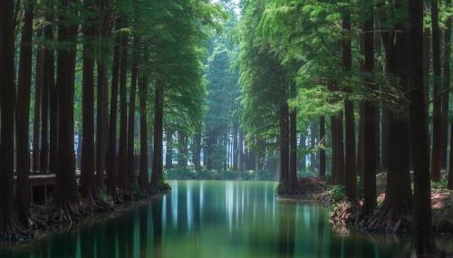 风景句子唯美简短句子风景如画的唯美句子