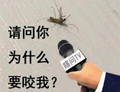 被蚊子咬怎么幽默的发朋友圈