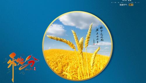秋分早上问候语祝福语20222022秋分温馨文艺早安说说