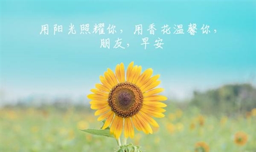 早晨的句子发朋友圈